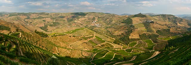 Vineyard terraces above the Douro river
